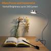 LEPOWER Clip on Light/Reading Light/Book Lights/Desk Lamp Color Changeable/Night Lights Clip on for Desk, Bed Headboard and Computers, Adapter Included, Silver(Silver)