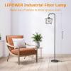 LEPOWER Floor Lamp, Black Floor Lamp with LED Edison Light, 2800K E26 Rustic Standing Lamp, Farmhouse Floor Lamps for Living Room, Bedroom