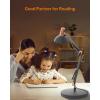 LEPOWER Metal Desk Lamp, Adjustable Goose Neck Architect Table Lamp with On/Off Switch, Swing Arm Desk Lamp with Clamp, Eye-Caring Reading Lamp for Bedroom, Study Room &Office (Sandy Black)(Sand Black)
