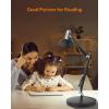 LEPOWER Metal Desk Lamp, Adjustable Goose Neck Architect Table Lamp with On/Off Switch, Swing Arm Desk Lamp with Clamp, Eye-Caring Reading Lamp for Bedroom, Study Room &Office (Sandy Black)(Black)