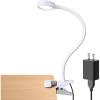LEPOWER Clip on Light/Reading Light/Book Lights/Desk Lamp Color Changeable/Night Lights Clip on for Desk, Bed Headboard and Computers, Adapter Included, Silver(White)